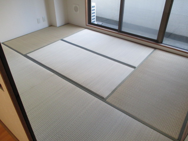 Other room space. Japanese style room