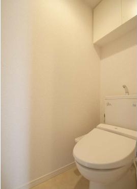 Toilet. Toilet