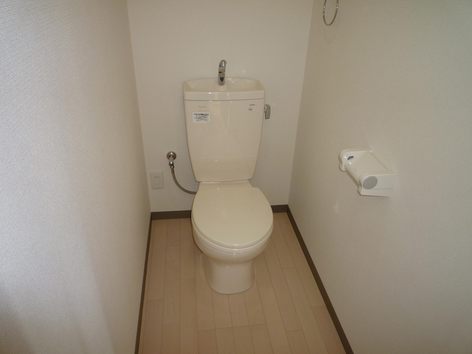 Toilet. It is a photograph of the same type