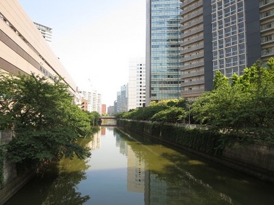 Other. Meguro River 20m until the (other)