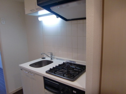 Kitchen. Two-burner stove, With grill