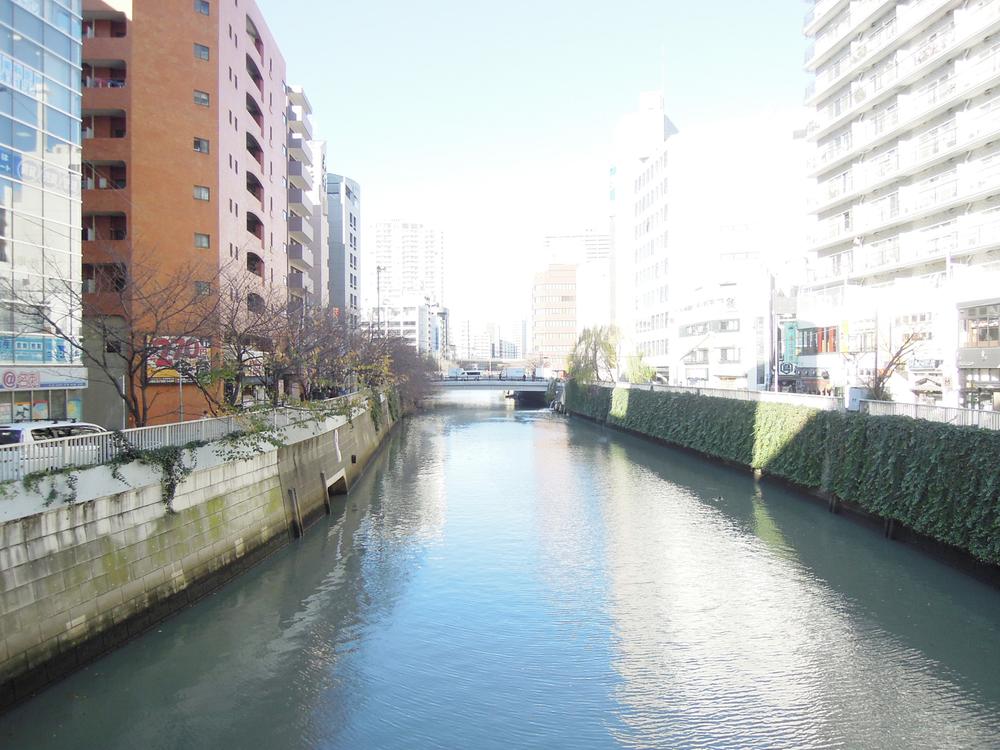 Other. Can you walk in along the Meguro River.