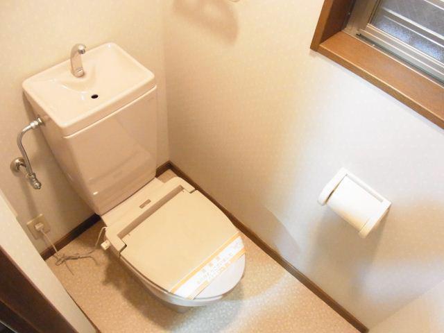 Toilet. It is a toilet with a clean. 