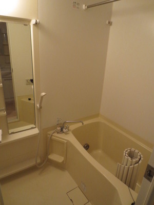 Bath. Bathroom