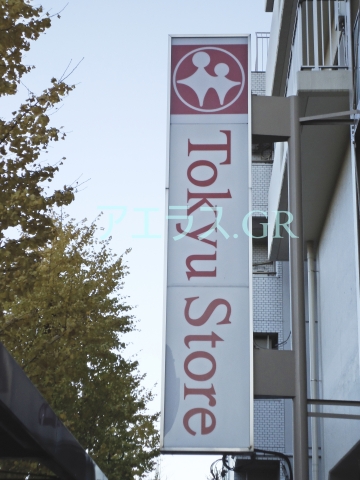 Supermarket. Tokyu Store Chain to (super) 249m