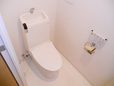 Toilet. Reference photograph