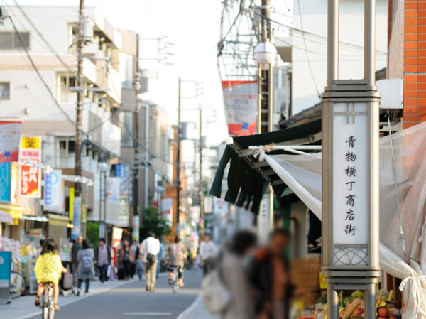 Surrounding environment. Aomonoyokocho shopping street (about 720m ・ A 9-minute walk)