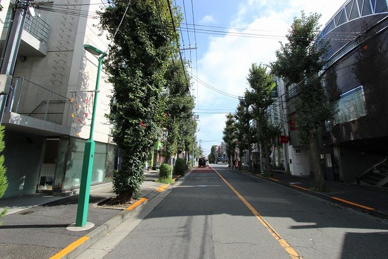 Other. Ginkgo tree-lined street Autumn leaves of the season is beautiful.