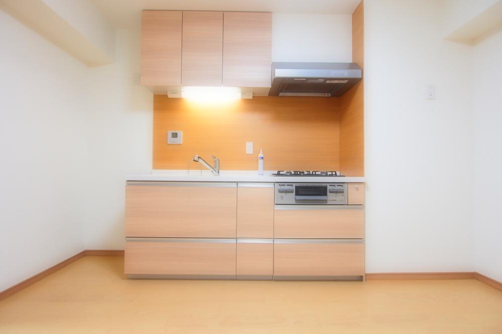 Kitchen. Indoor (11 May 2013) Shooting