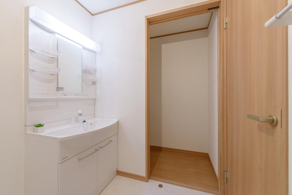 Wash basin, toilet. Independent wash basin