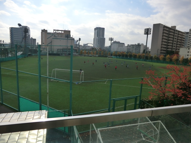 Other. Why such as baseball in Tennoz park on holidays