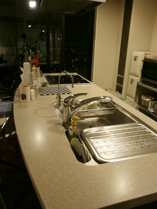 Kitchen. Built-in water purifier ・ disposer, With dish washing dryer