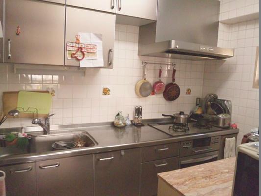 Kitchen. The kitchen is a luxury all-stainless.