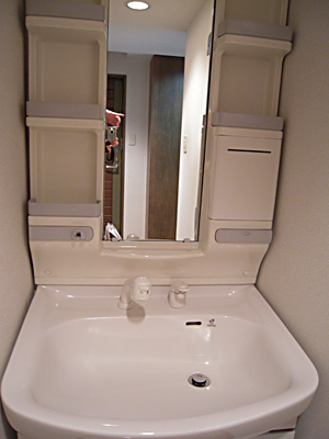 Washroom. Separate vanity, Shampoo is Dresser.