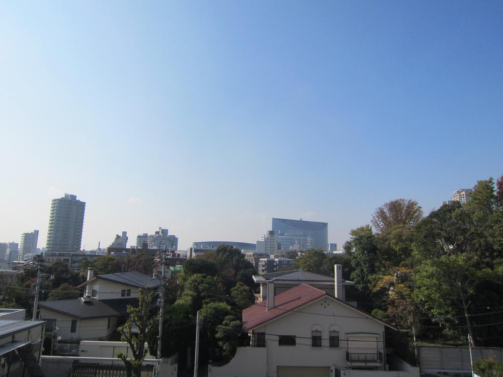 View photos from the dwelling unit. Good view from the east side balcony