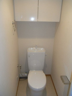 Toilet. Reference photograph