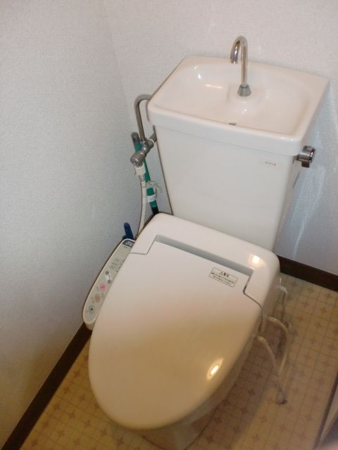 Toilet. Bidet