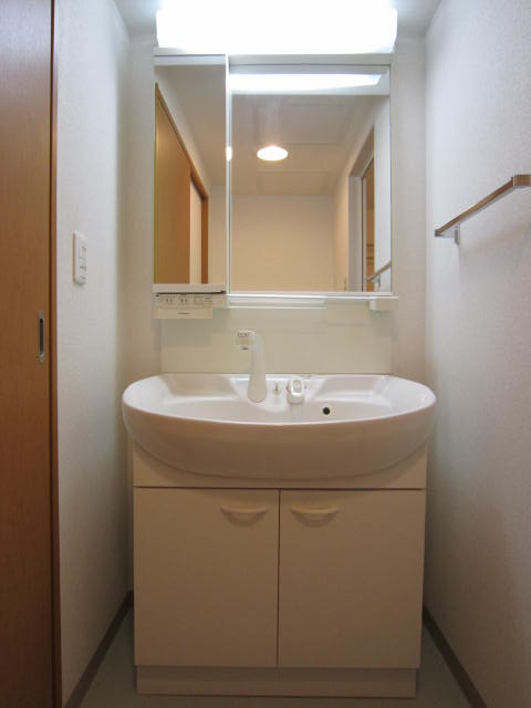 Washroom. Vanity with a shower faucet