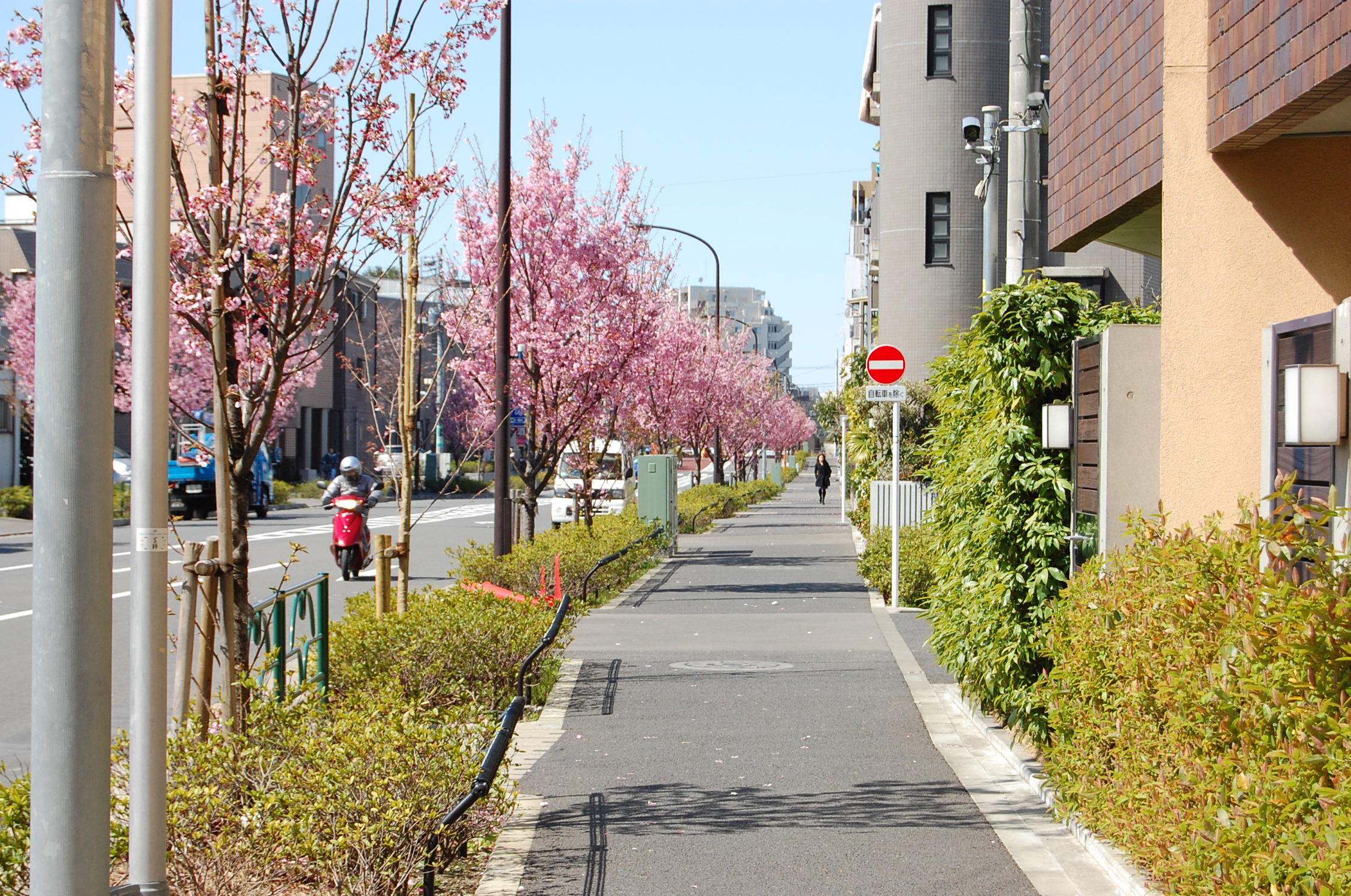 Other. By changing the mood, From Musashikoyama will try through this road