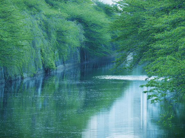 Surrounding environment. Meguro River (2-minute walk / About 160m)