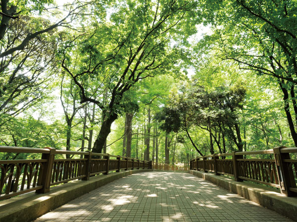Surrounding environment. Hayashi試 of Forest Park (a 12-minute walk / About 950m)