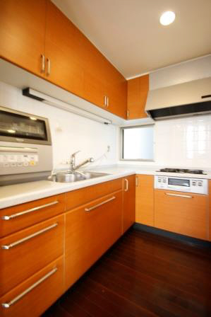 Kitchen. L-3-neck system Kitchen. Worktop has spacious.