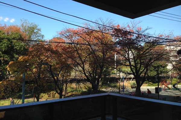 View from the scenery (A type 201, Room balcony to the green of the park and the scenic backdrop ・ December 2013 shooting)