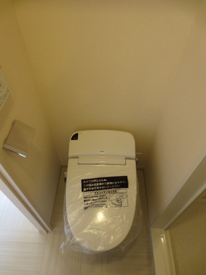 Toilet. Toilet