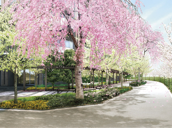 Features of the building.  [Cherry Promenade] Cherry promenade in harmony with cherry town par and Meguro River. A weeping cherry tree to a symbol, Will produce the reservoir space of the shade of a tree people to walk is that Ikoe while being filled with moisture.