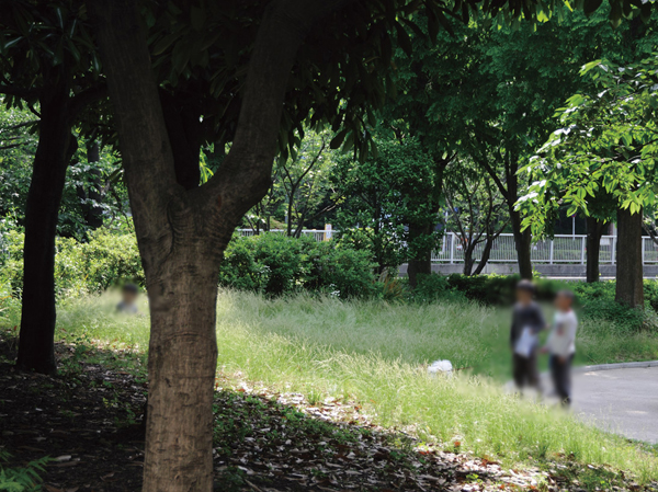 Surrounding environment. Ozeki park (about 400m ・ A 5-minute walk)