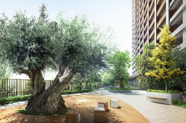  [Eddie Bull Park] The edible, Means "eat". Planting a tree to become the fruit in each season. In the city center, We aim to nature experience type garden you can feel touched to see the season and the nature of grace over (Rendering)