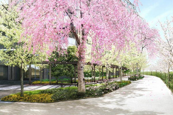 [Cherry Promenade] Cherry promenade in harmony with cherry streets and Meguro River. A weeping cherry tree to a symbol, While people who walk are filled with moisture to produce a Ikoeru shade of space (Rendering)