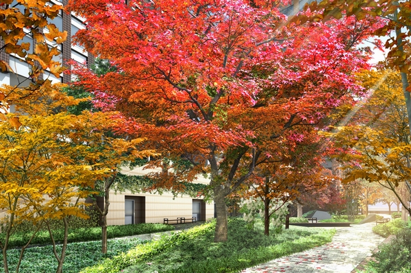  [Colorful Garden] Subjected to the trees to change the look with the seasons, Square of rest at night to bring peace is director of writing. Throughout the year, Is a garden where you can enjoy a variety of natural colors (Rendering)
