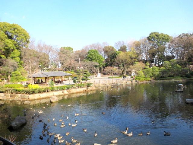 park. 1020m to Togoshi park