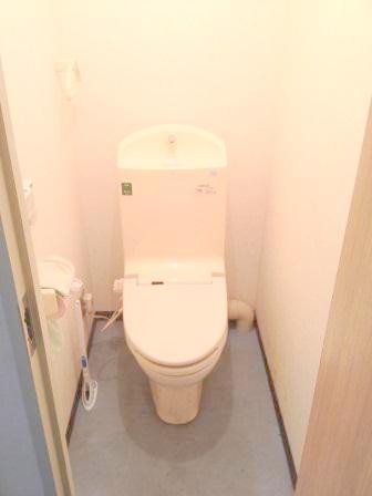 Toilet. It comes with a bidet