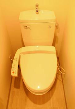 Toilet. Clean shower toilet