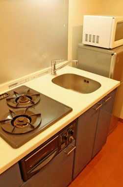 Kitchen. Convenient two-burner stove