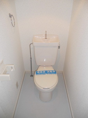 Toilet. Toilet with cleanliness