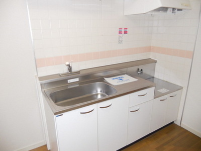 Kitchen. Gas stove is installed Allowed