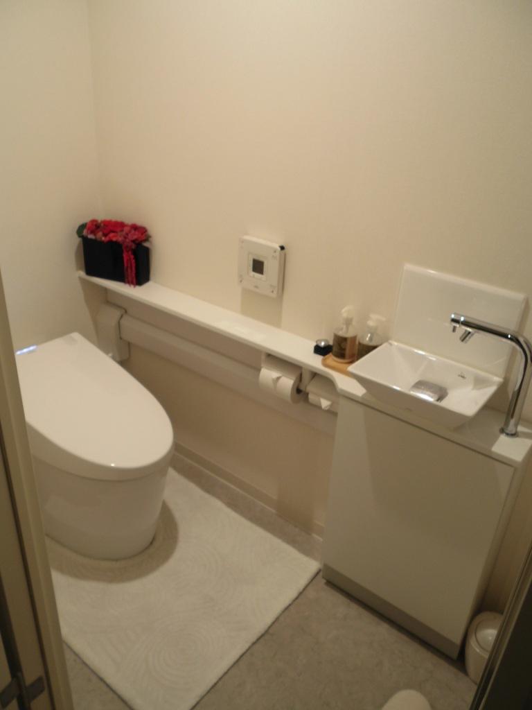 Toilet. Interior