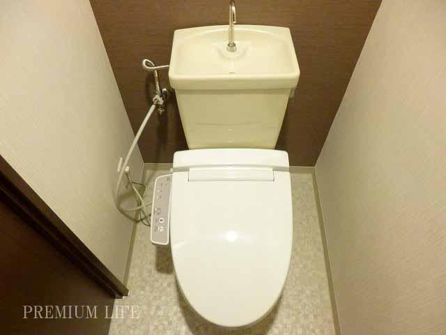 Toilet. Washlet toilet