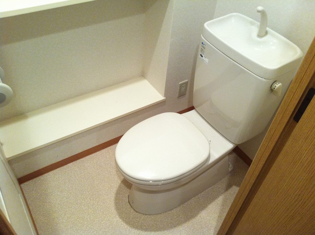 Toilet. Convenient because there is a shelf!