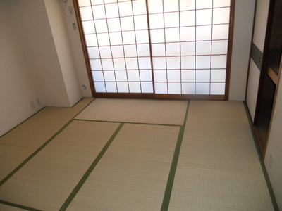 Other room space. Japanese style room