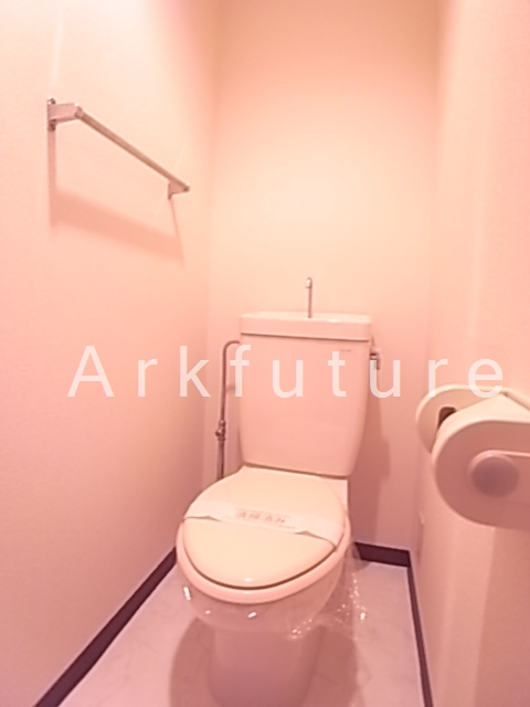Toilet. Toilet with cleanliness!