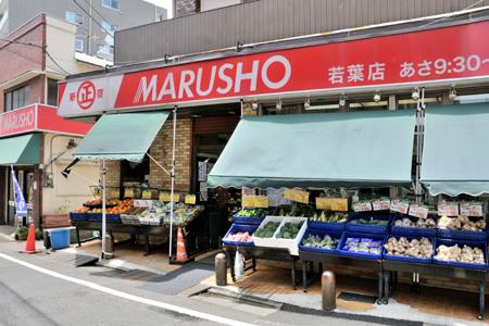 Supermarket. Until MARUSHO young leaves shop 263m