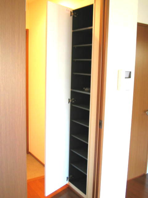 Entrance. Shoes is BOX.
