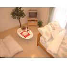 Living and room. Convenient furniture consumer electronics with ☆