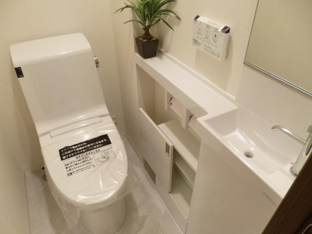 Toilet. Handwashing with storage counter