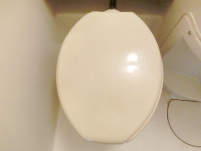 Toilet. Toilet