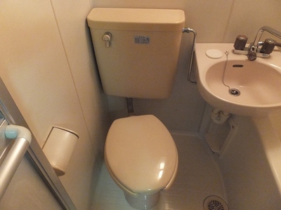 Toilet. Toilet